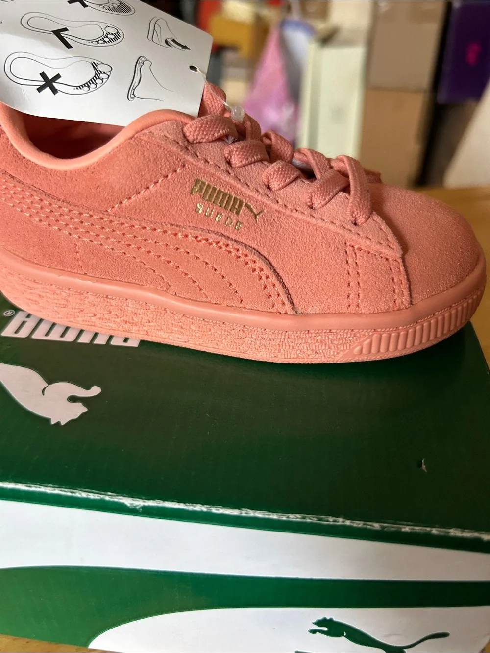 Polo by Ralph Lauren slides, Puma, UGG Booties and Adventure Wash & Wear